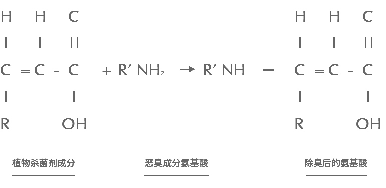 專業(yè)除甲醛